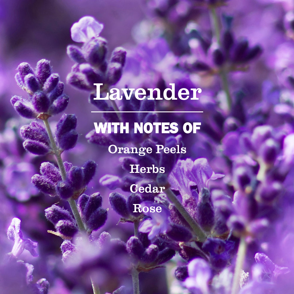 Lavender Plug In Scented Oil Warmer With Refill - Image 6