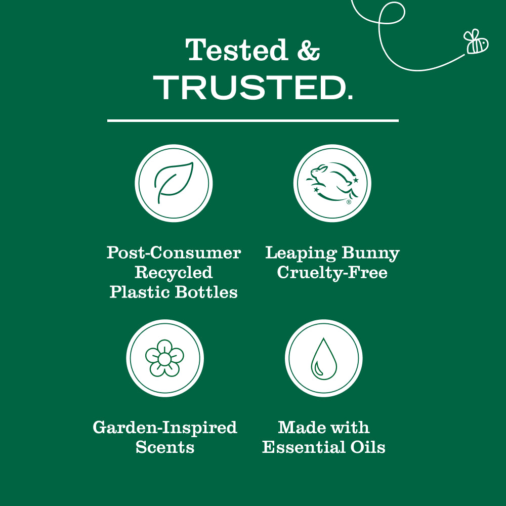 Eucalyptus Dish Soap - Image 7