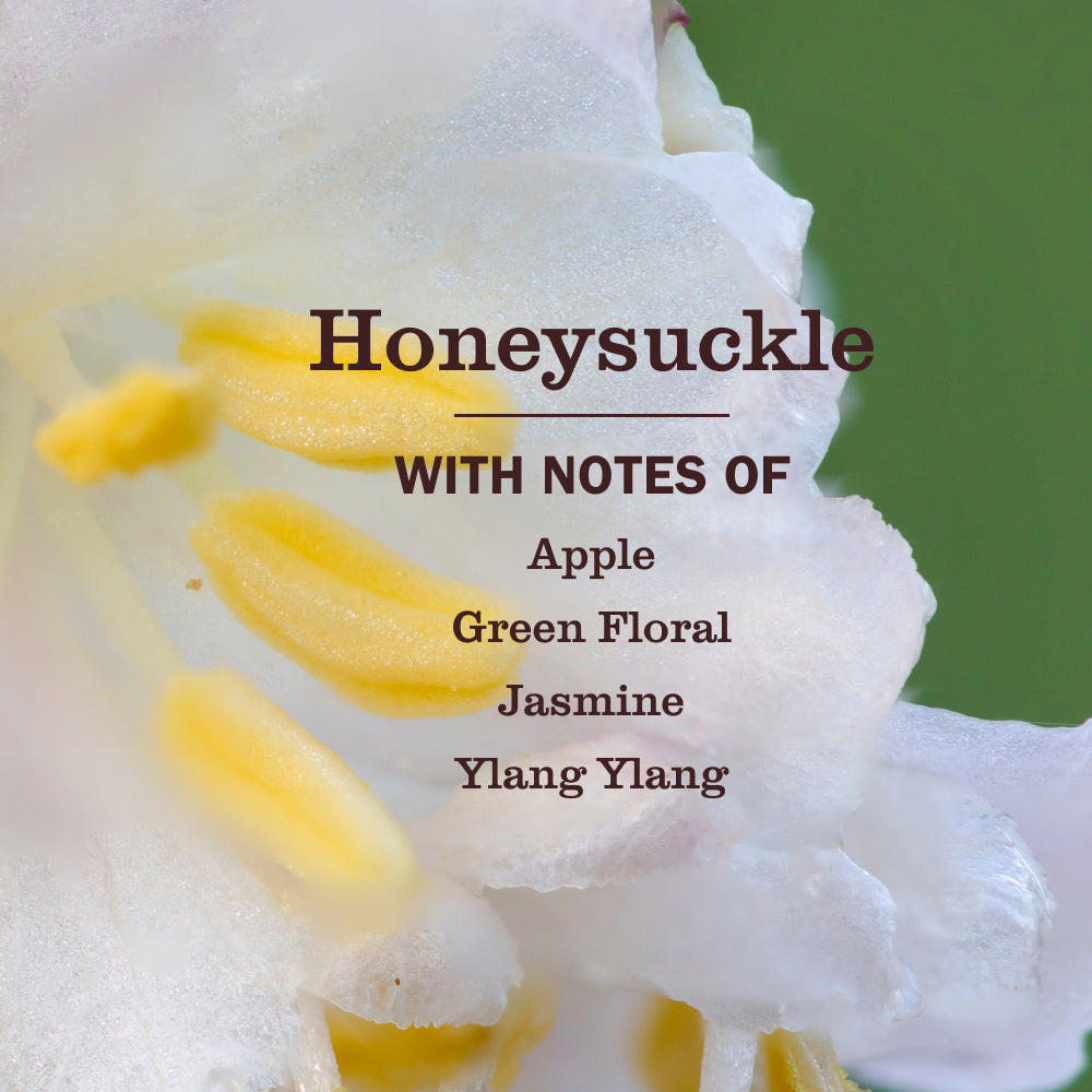 Honeysuckle Dish Soap - Image 4