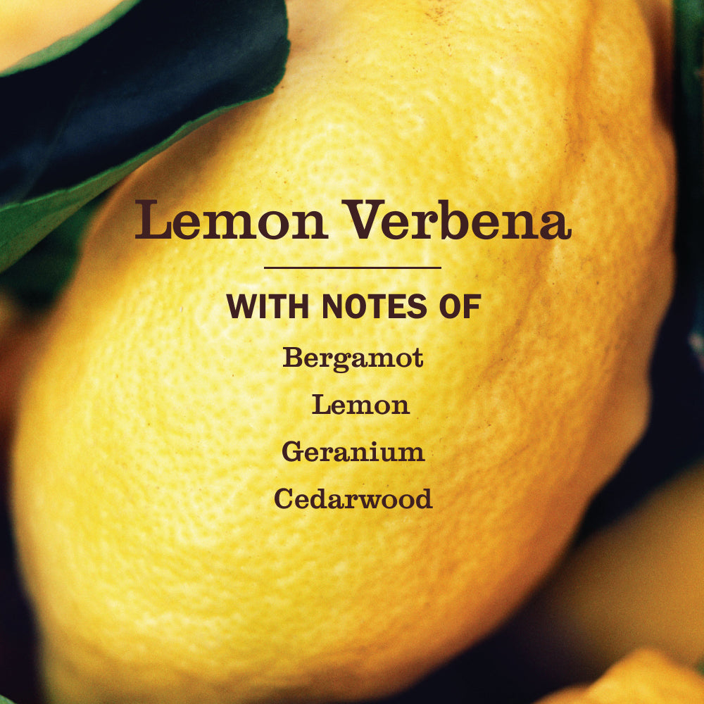 Lemon Verbena Kitchen Basics Set - Image 4