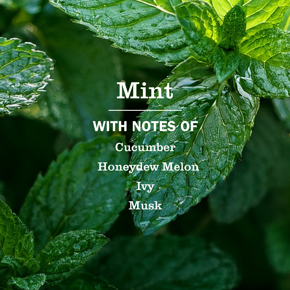Mint Multi-Surface Everyday Cleaner - Image 4