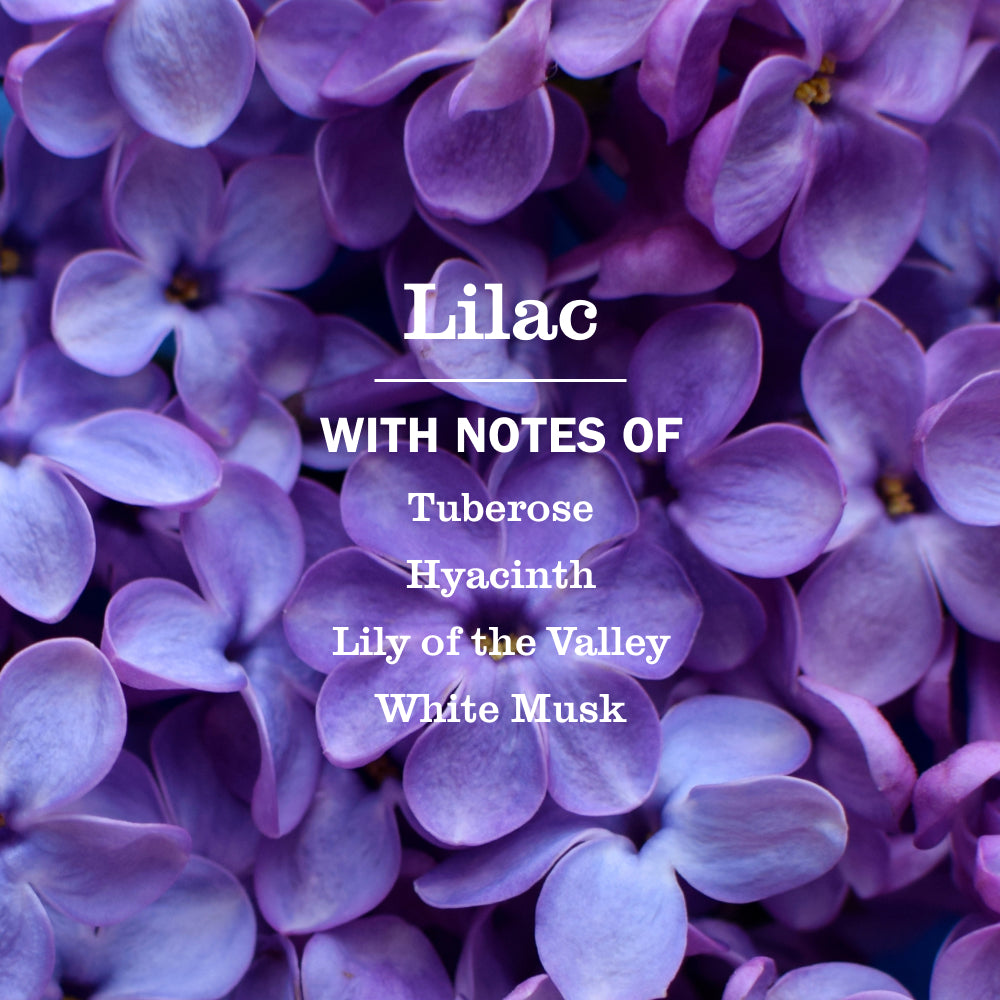 Lilac Dish Soap - Image 4