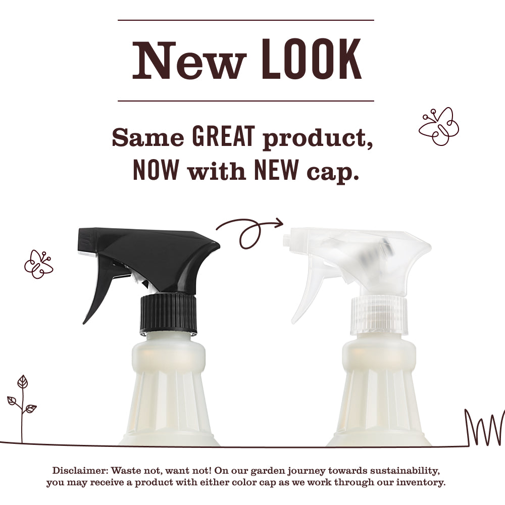 Mint Multi-Surface Everyday Cleaner - Image 3