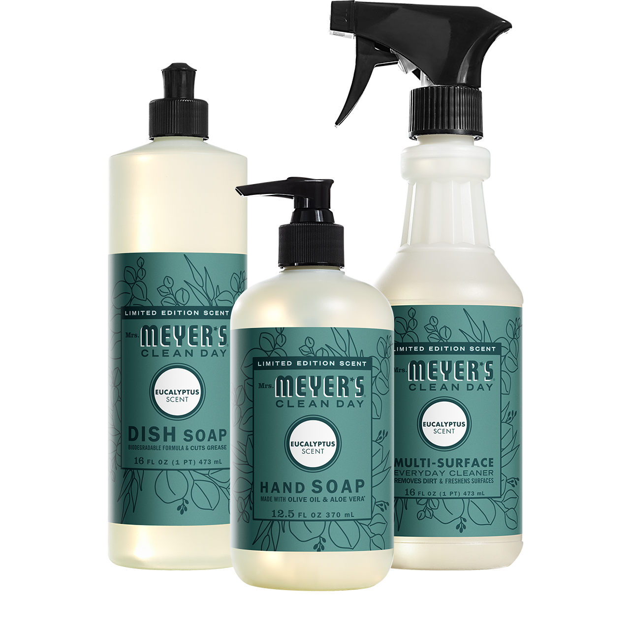 Eucalyptus Kitchen Basics Set