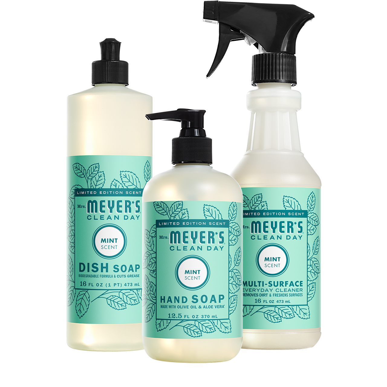 Mint Kitchen Basics Set