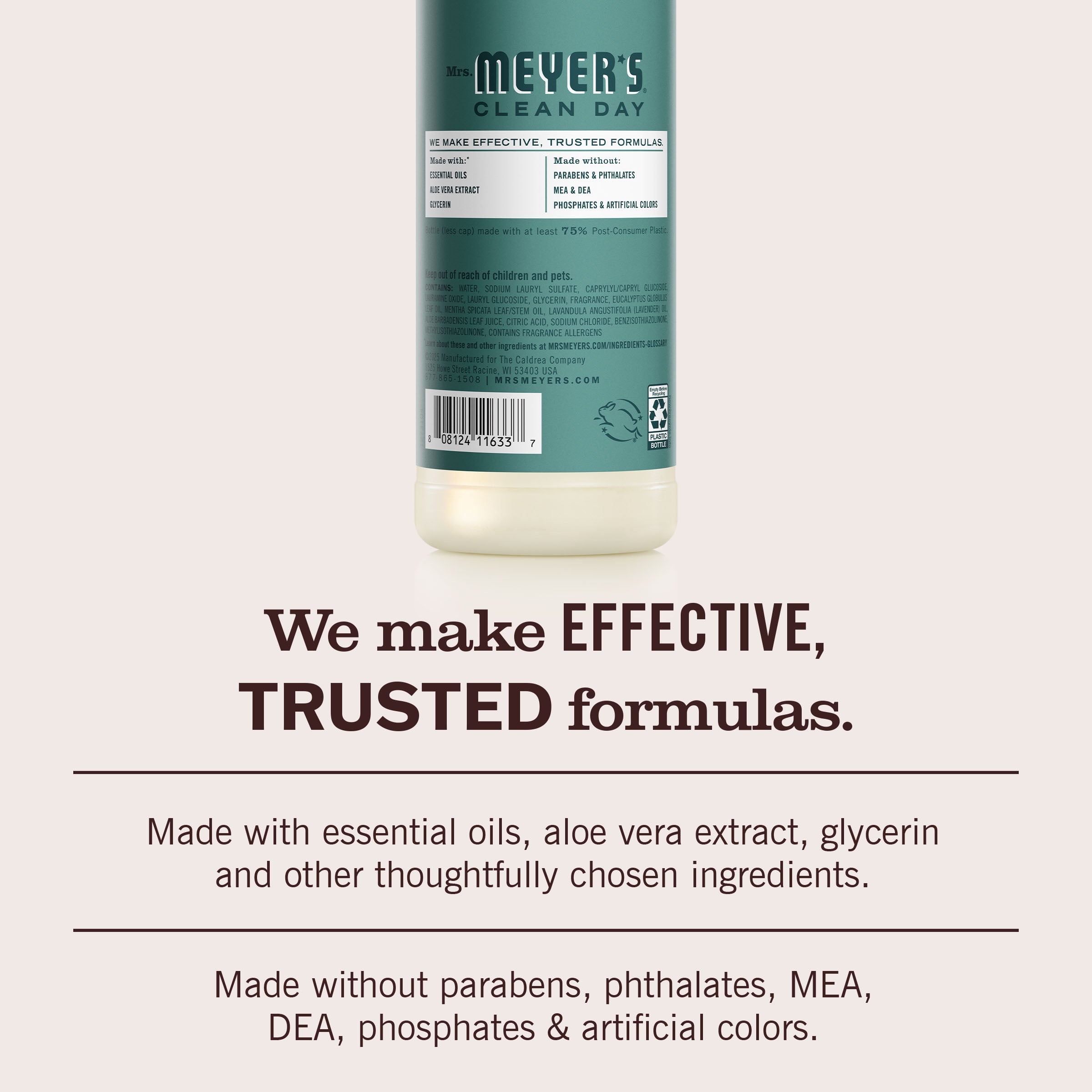 Eucalyptus Dish Soap - Image 6