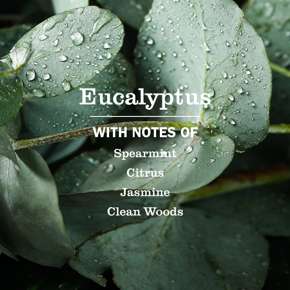 Eucalyptus Dish Soap - Image 4