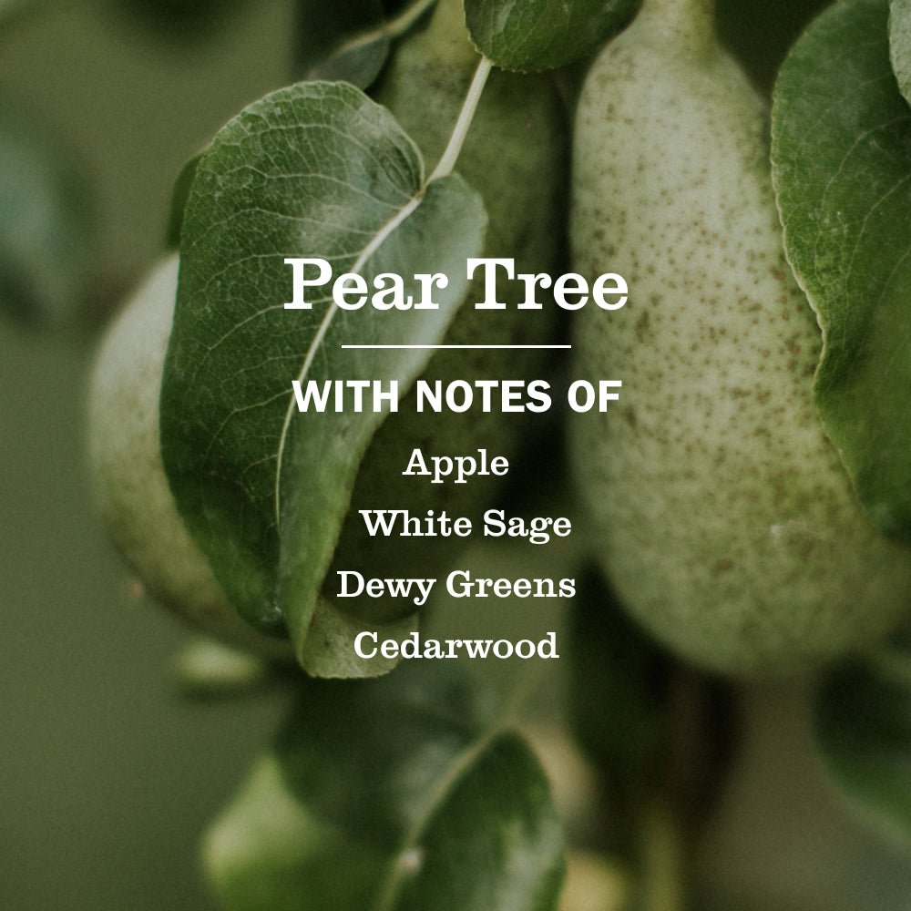Pear Tree Room Freshener - Image 4