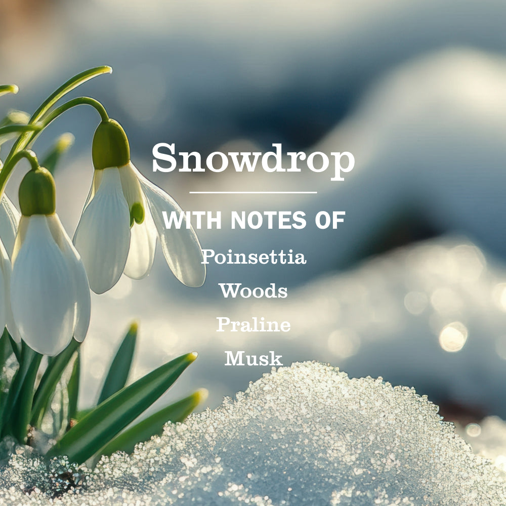 Snowdrop Kitchen Basics Set - Image 4